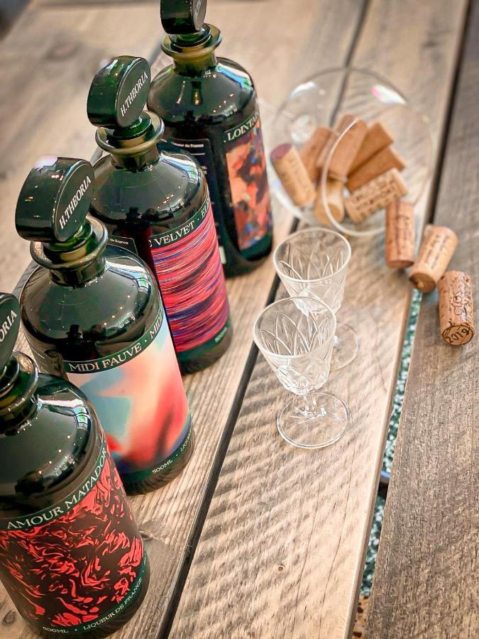 Готель Vins De Dagne Montlaur  Екстер'єр фото